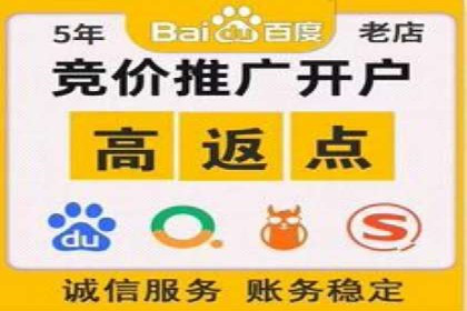 托管竞价SEM助力企业快速崛起